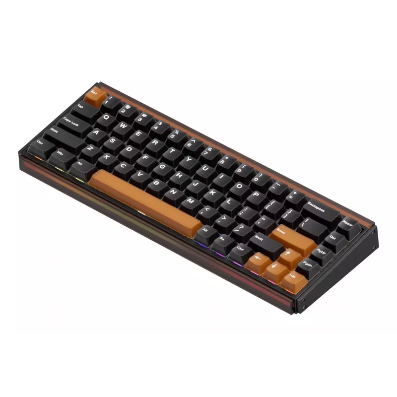 AKKO RAY68-HE Brown Tastiera Meccanica da Gaming 68 Tasti Tri-Mode Wireless