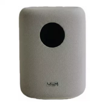 WiiM LPWISNDW Sound smart speaker, bianco
