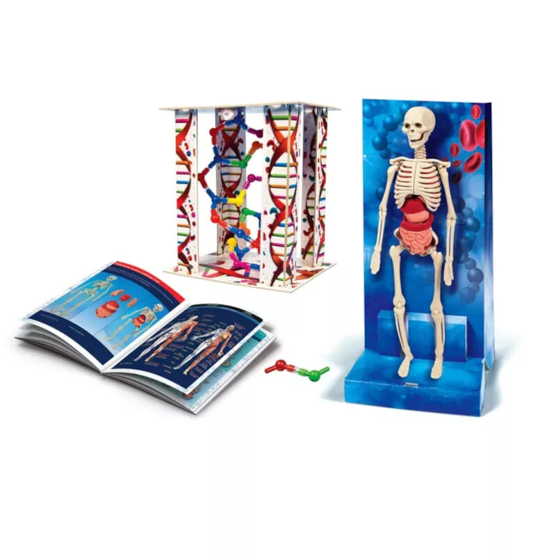 Clementoni Science Fun Corpo Umano Lingua Polacca 60249