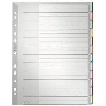 Leitz 1273 Set di 10 linguette per registro A4 in polipropilene, grigio 1273-00-00