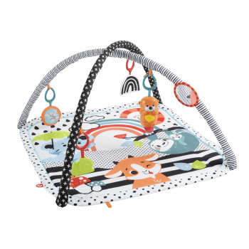 Mattel palestra attività per neonati con arco giochi, luci e musica, tappetino/arco (HBP41)