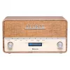 Radio portatile Denver DAB-36LW sintonizzatore digitale DAB+ 5W LCD