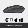 MX Anywhere 2S mouse wireless/Graphite - BT - N/A