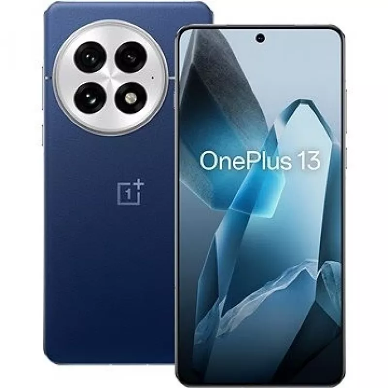 OnePlus 13 17,3 cm (6,82