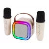 Cassa karaoke, cassa Bluetooth KARAOKE RGB, 30W