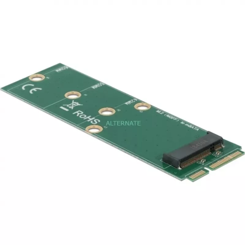 DeLOCK - Adattatore interfaccia - M.2 - scheda M.2 - mSATA (64109)