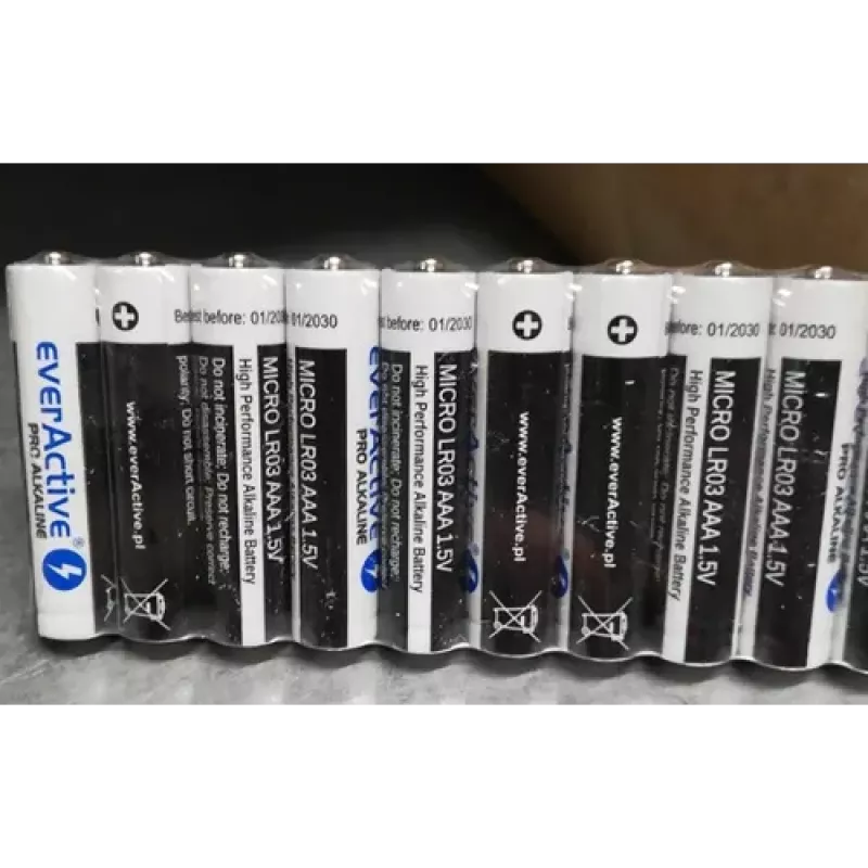 Batteria alcalina monouso everActive LR0310PAK AAA 1,5 V 1250 mAh confezione da 10