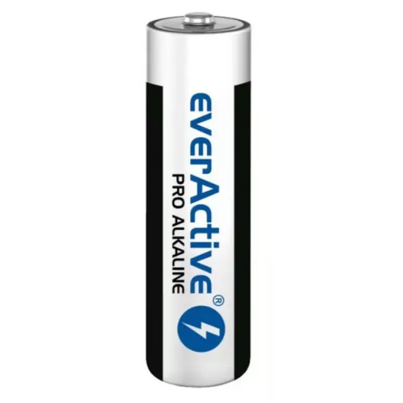 Batteria alcalina monouso everActive LR0310PAK AAA 1,5 V 1250 mAh confezione da 10