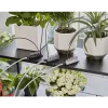 Gardena kit di irrigazione per le vacanze con serbatoio dell'acqua, 13366-20