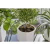 Gardena kit di irrigazione per le vacanze con serbatoio dell'acqua, 13366-20