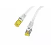 Cavo di rete Lanberg PCF6A-10CU-1000-S grigio 10 m Cat6a S/FTP (S-STP) (PCF6A-10CU-1000-S)