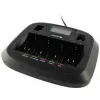 everActive NC-900U caricabatterie universale