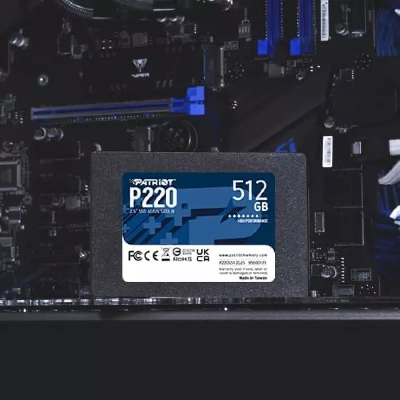 Patriot Memory P220 SSD da 512 GB, 2,5″, SATA III (P220S512G25)