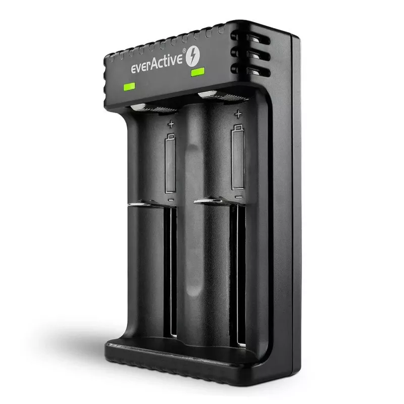 Caricabatterie everActive LC200 domestico USB, 2 vani, Li-Ion, supporta A/AA/AAA/AAAA/C/D, ingresso 5 V, uscita 4,2 V, nero