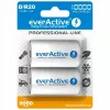 Batteria ricaricabile everActive EVHRL20-10000 D NiMH 1,2 V 2 pz.