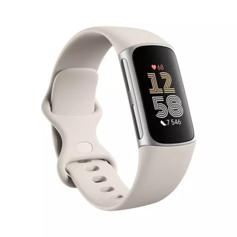 Fitbit GA05185-EU Prodotto argento