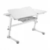 Ergo Office Scrivania ergonomica per bambini regolabile in altezza, grigia, max 100 kg, ER-417 2cz