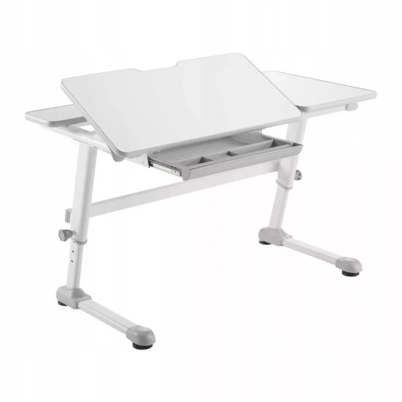 Ergo Office Scrivania ergonomica per bambini regolabile in altezza, grigia, max 100 kg, ER-417 2cz