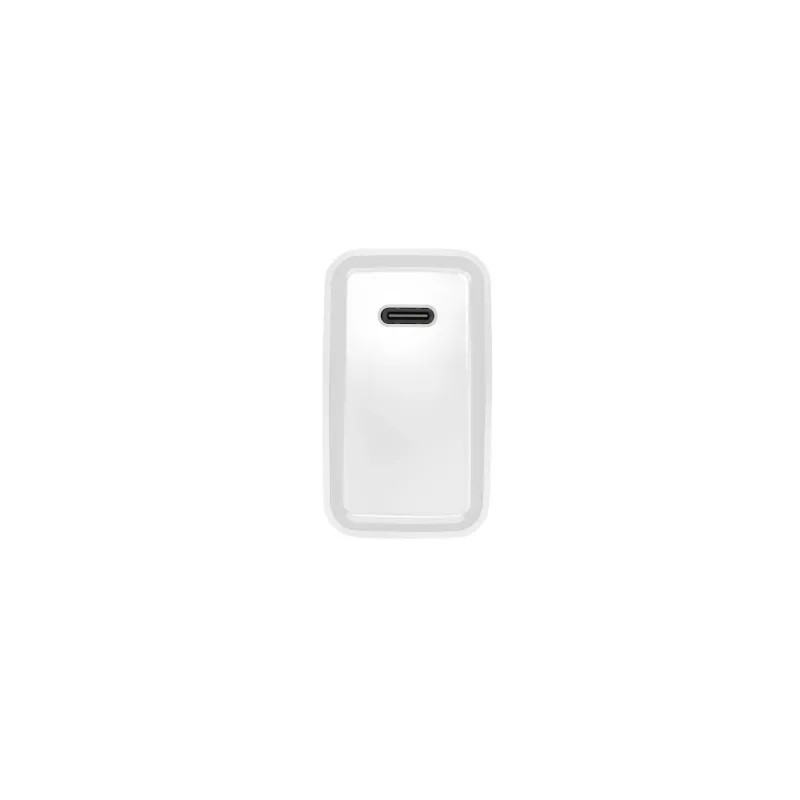 Caricabatterie rapido USB-C da interni NATEC RIBERA 12V 20W Quick Charge 3.0 bianco