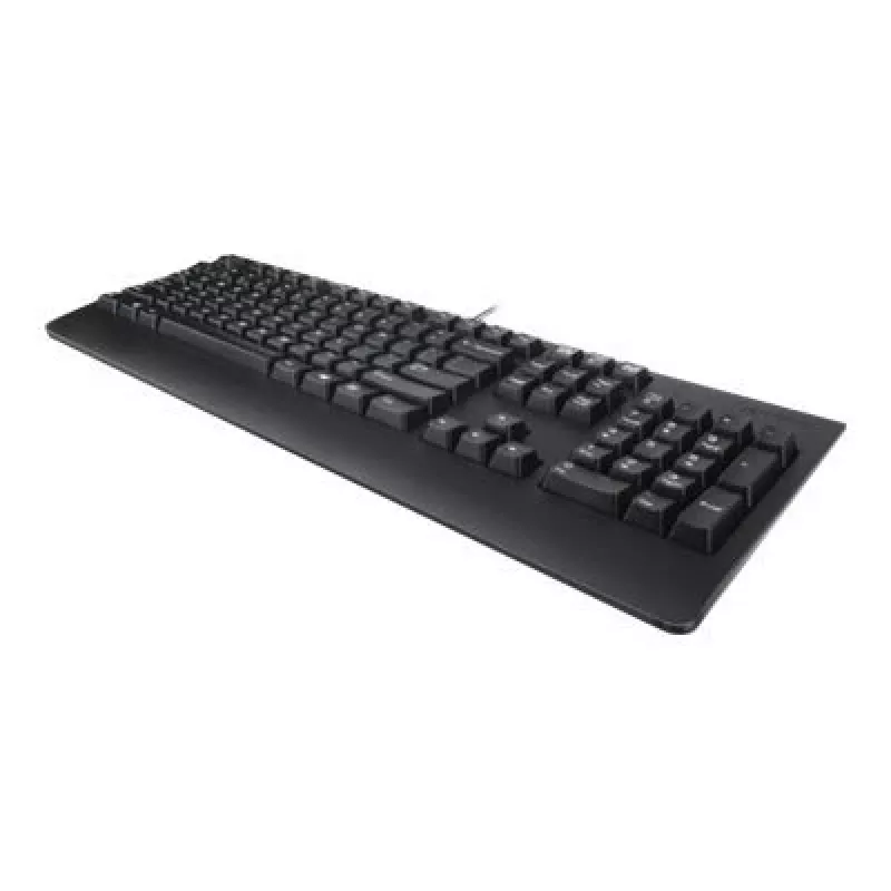 Lenovo 4X30M86918 tastiera Office USB QWERTY US inglese nero