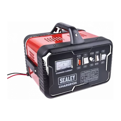 Caricabatterie per batterie auto