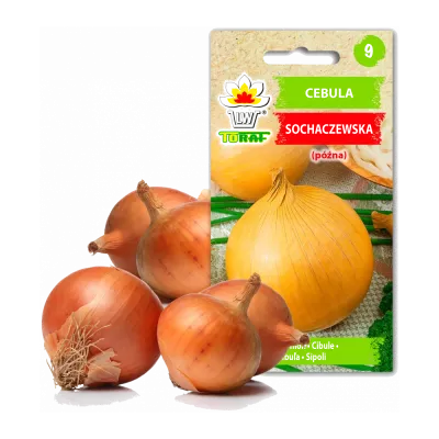 Semi di ortaggi