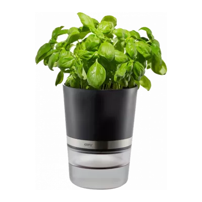 Vasi per erbe aromatiche