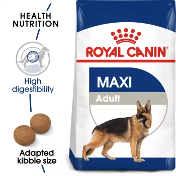 Crocchette per cani Royal Canin SHN Maxi Adult 4 kg – alimento completo con pollame per razze grandi (25–45 kg), 26% proteine