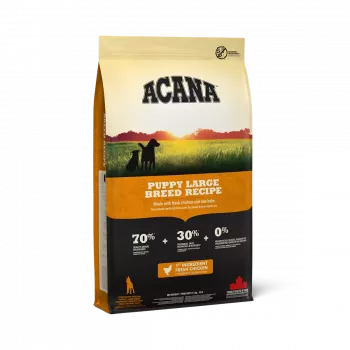 ACANA Dog Puppy Large Breed - Cibo secco per cani - 17 kg