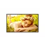 LG 32UL5Q-M 32" 4K UHD display Digital Signage