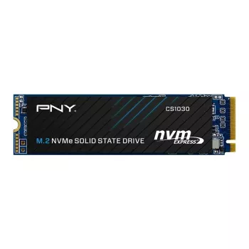 PNY CS1030 256GB M.2 2280 PCIe NVMe Gen3 x4 unità a stato solido interna (Bulk)