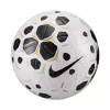Nike Control 25 pallone da calcio taglia 5 bianco/nero HV4395 100