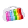 LEAN TOYS bacino arcobaleno, strumento musicale per bambini, educativo, interattivo, multicolore