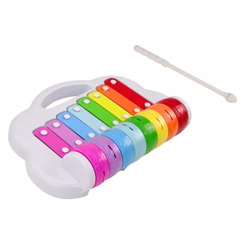 LEAN TOYS bacino arcobaleno, strumento musicale per bambini, educativo, interattivo, multicolore