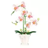 LEAN TOYS Orchidea mattoncini orchidea in vaso rosa e bianco 718 pezzi