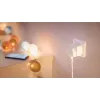 Philips Smart Smart Plug con misurazione energia tipo F confezione da 2