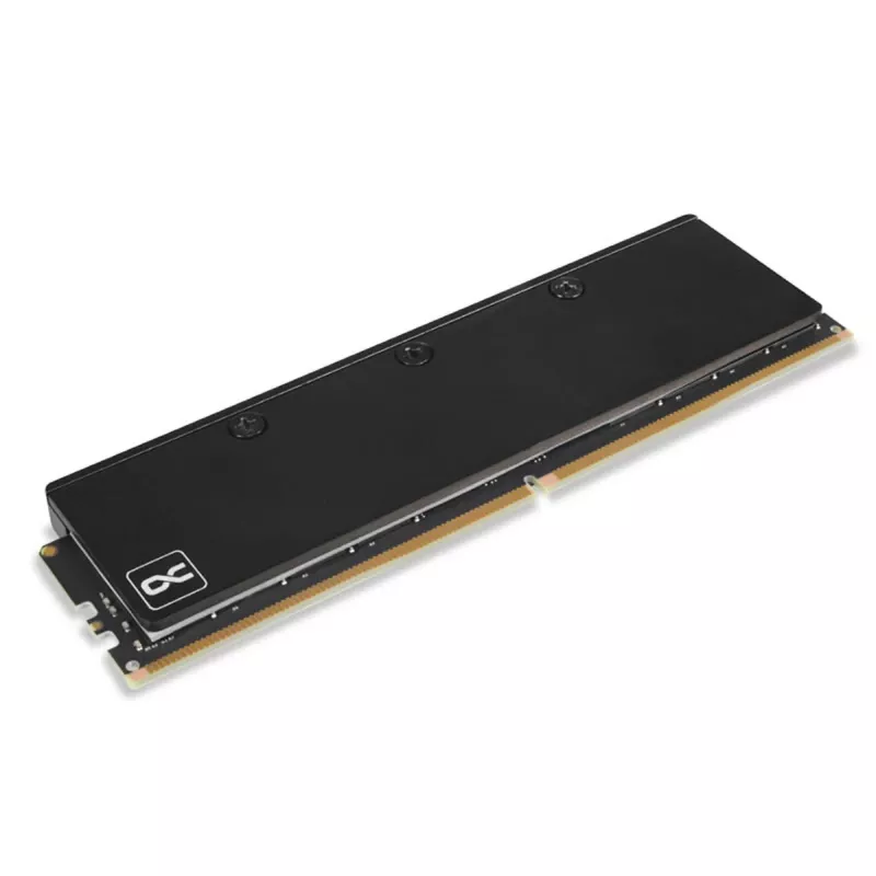Alphacool 17631 Core blocco d'acqua per RAM DDR5, 2 pz., nero