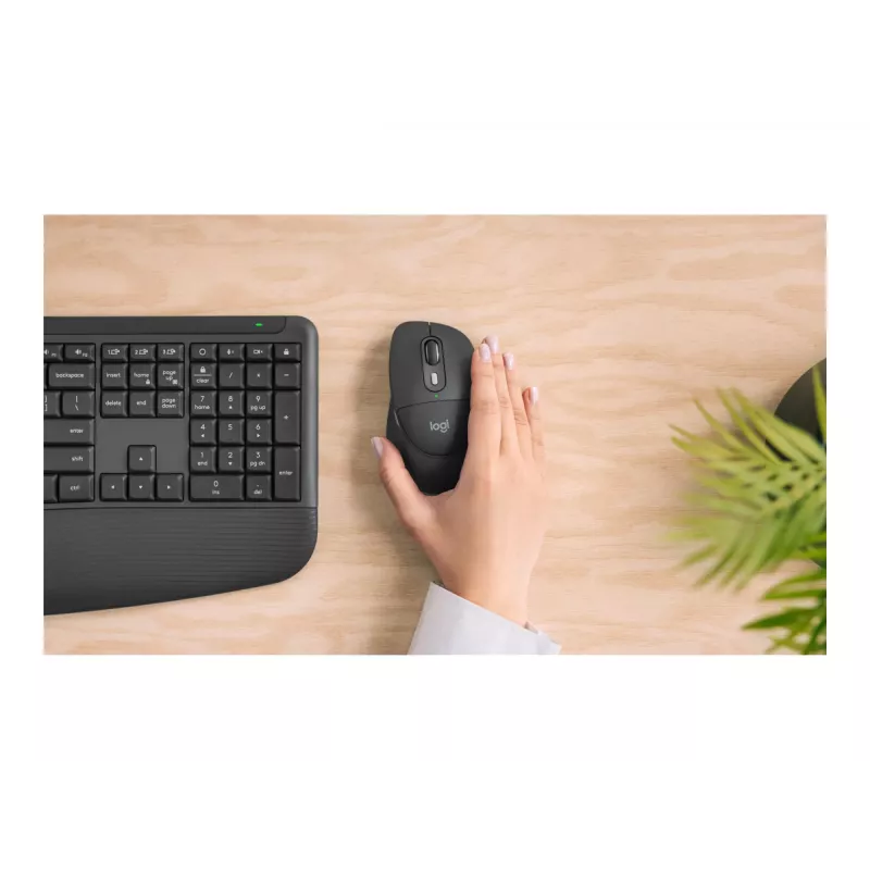 Logitech M850 L for Business Mouse Wireless - Grafite