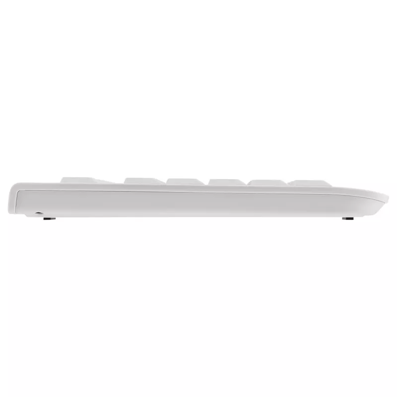 Cherry KC 1000 Tastiera - Pan Nordic - grigio chiaro