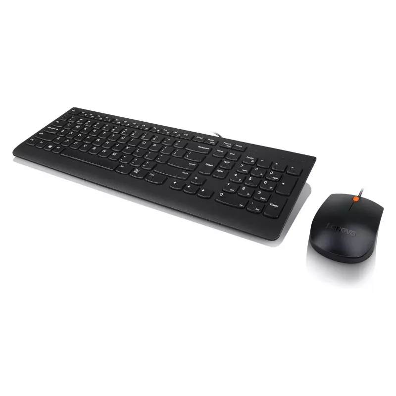 Lenovo 300 Tastiera USB - US English QWERTY - nero