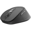 Logitech Signature Comfort Plus M850 L Mouse Wireless - Grafite