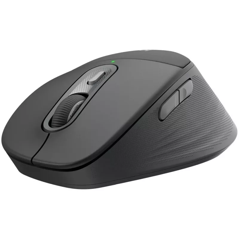Logitech Signature Comfort Plus M850 L Mouse Wireless - Grafite