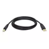 Tripp Lite U022-015 cavo dispositivo USB 2.0 Hi-Speed A/B, schermato, maschio/maschio, 15 ft (4,57 m), nero