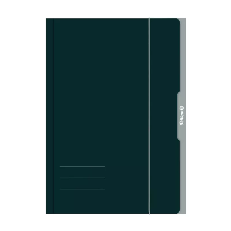 Pelikan 276856 Cartella con elastico A3 cartone verde
