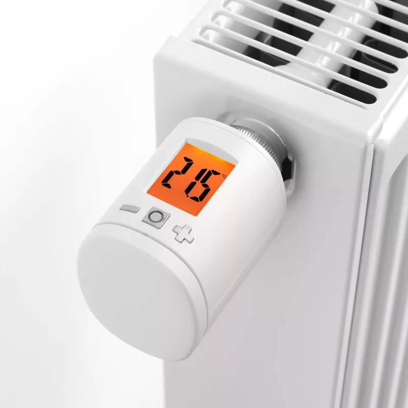 RADEMACHER HomePilot termostato smart per radiatore