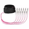EFB Cavo trunk U-DQ ZN BH OM4 12G 1x12 LC-LC 30m Dca LSZH