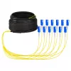 EFB Cavo trunk U-DQ(ZN)BH OS2 12E (1x12) SC-SC 40m Dca LSZH G657A1