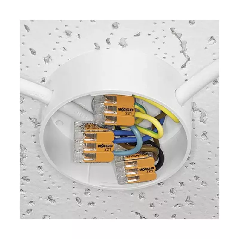 WAGO 221-412 serie 221 connettore a 2 conduttori, 4 mm², 100 pezzi