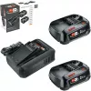 Bosch 18V Starter Set 2 batterie da 2,5 Ah + caricabatterie AL 18V-44 (1600A031T5)
