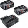 Bosch 18V Starter Set 2 batterie da 2,5 Ah + caricabatterie AL 18V-44 (1600A031T5)
